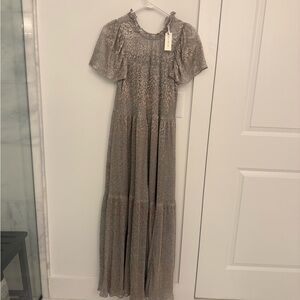 Anthropologie Elegant Silver and Gold Maxi Dress XS